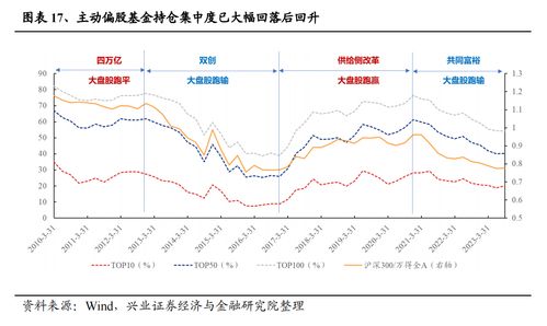 中证A50与中证500，解析两大指数的差异与投资价值