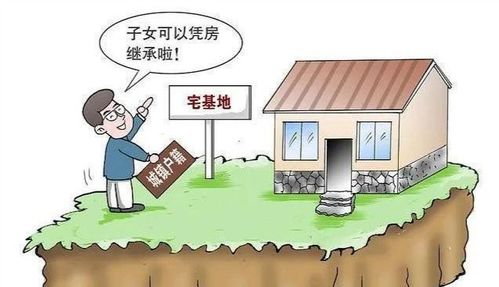 商业宅基地能否继承？一文为你解惑